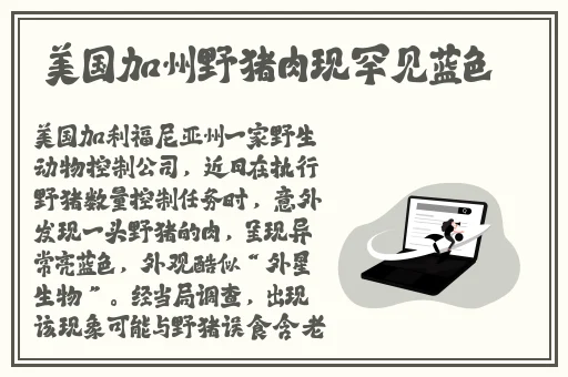 老师的兔子真软水又多